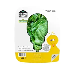 Romaine Lettuce 4.5oz, 4.5 OZ