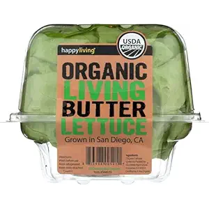 Organic Living Butter Letttuce