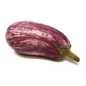 Organic Graffiti Eggplant