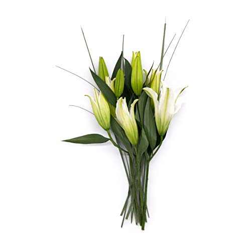 Lily Shopページ LIVING LUXURY 13 in. Pink Artificial Stargazer Lily Flower