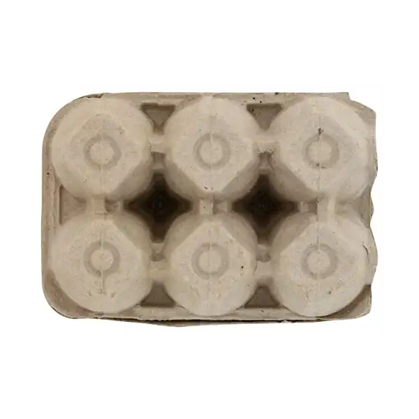 Eggs Froth Bomb 6 Pack, 12 OZ 2