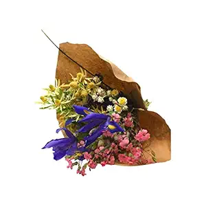 Organic Jumbo Bouquet, 1 EA