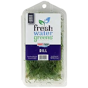 Hydroponic Dill, 0.75 OZ