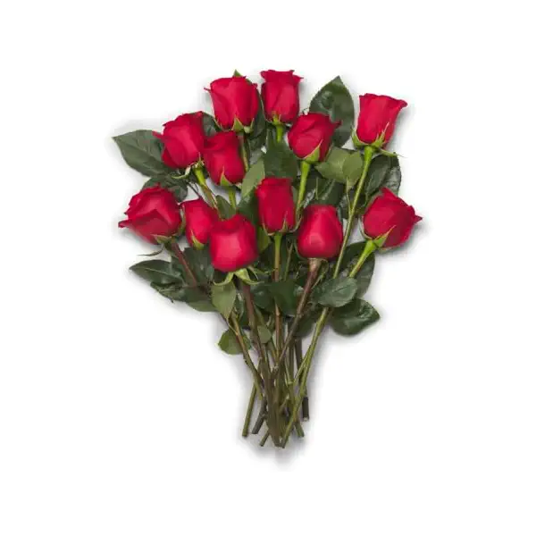 Dozen Roses 40cm, 1 EA 1