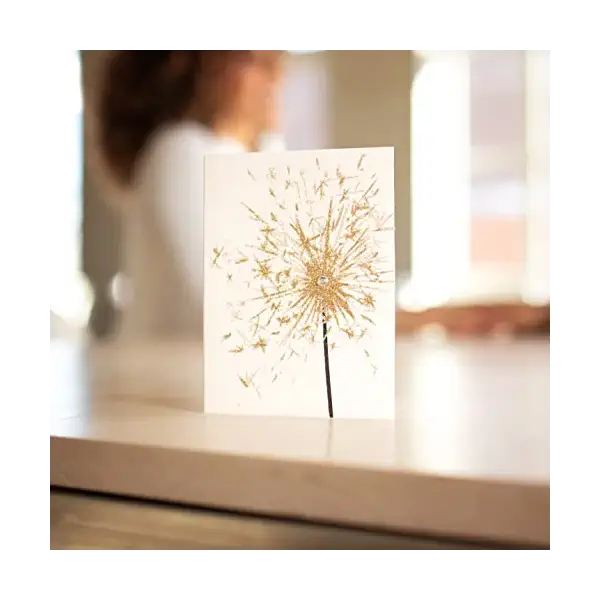 Birthday Card, 1 EA 6