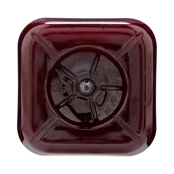 Watermelon Refresher Juice 7