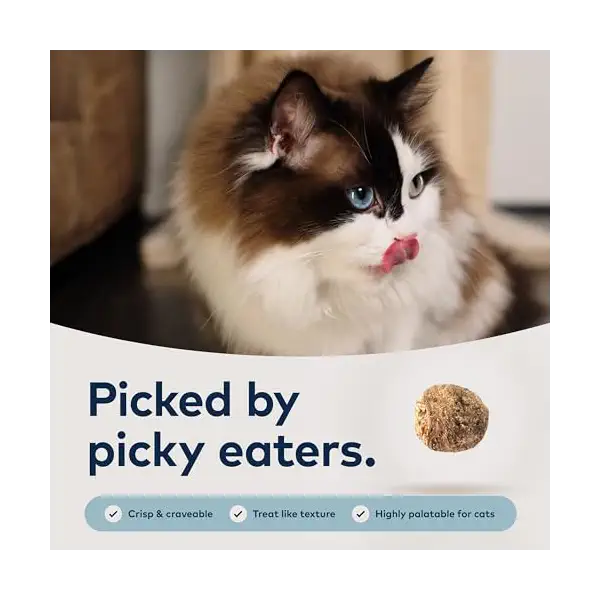 Steam Dried South Pacific Fish Cat Kibble, 16 OZ 2