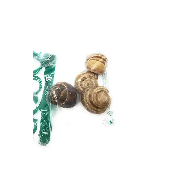 Escargot In Shell 1