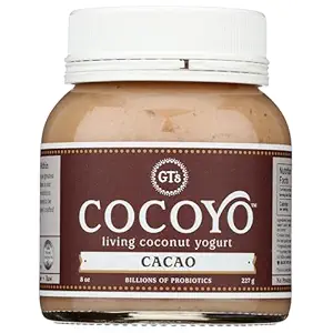 Organic Cacao Coconut Yogurt, 8 OZ