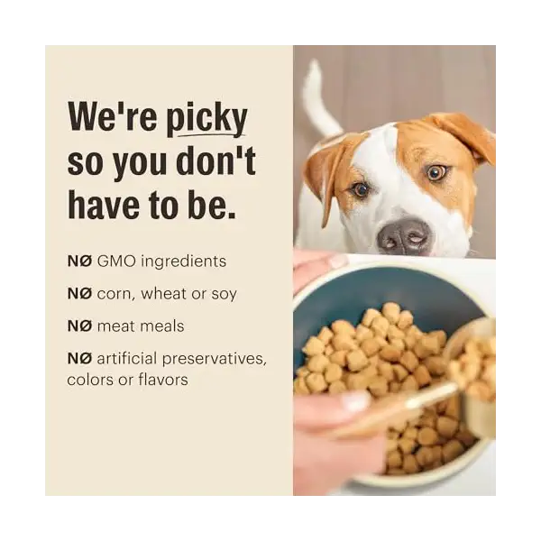 Grain Free-Turkey Whole Food Clusters Dry Dog Food, 5 LB 6