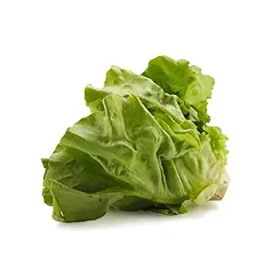 Organic Boston Butter Lettuce