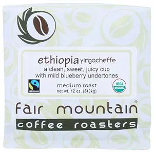 Organic Ethiopia Whole Bean Coffee, 12 OZ