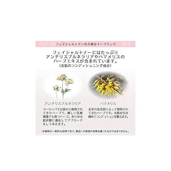 Facial Toner 9