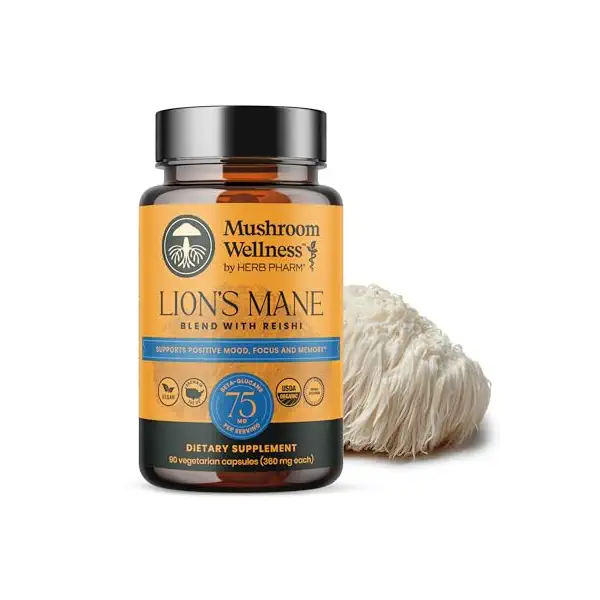 Organic Lion's Mane Reishi Blend, 90 CT 1