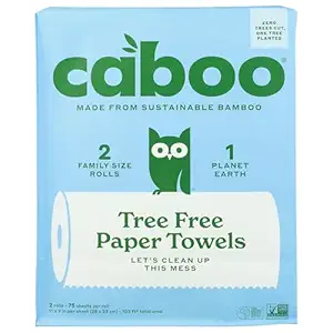 Plastic Free Bamboo Paper Towels, 75 CT