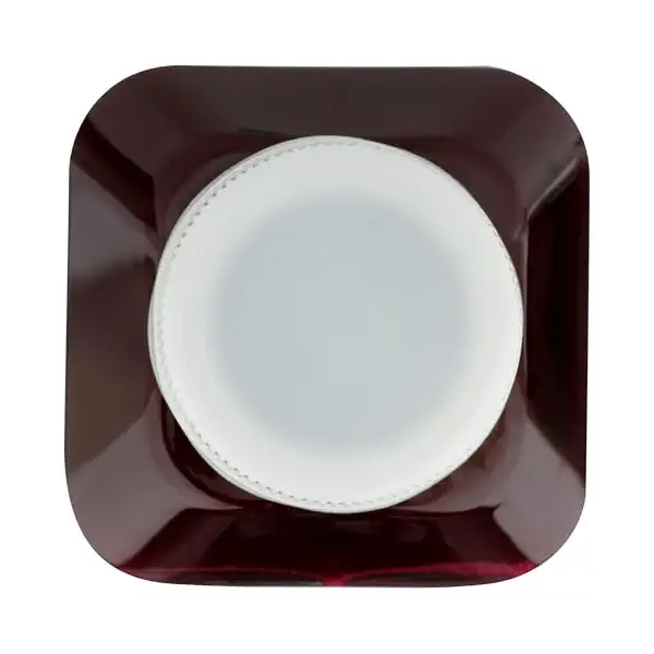 Watermelon Refresher Juice 4