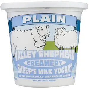 Plain Sheep Milk Yogurt, 16 OZ