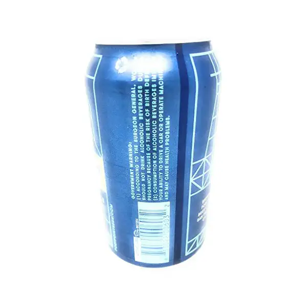 Villager IPA Can Sgl 4