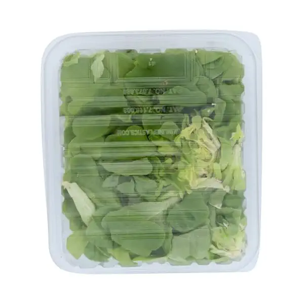 Green Oak Leaf Lettuce 2