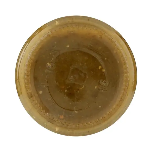 SALSA 8