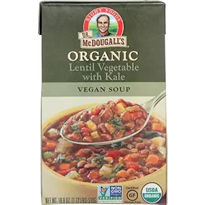 Organic Vegetable Lentil Soup, 18 OZ
