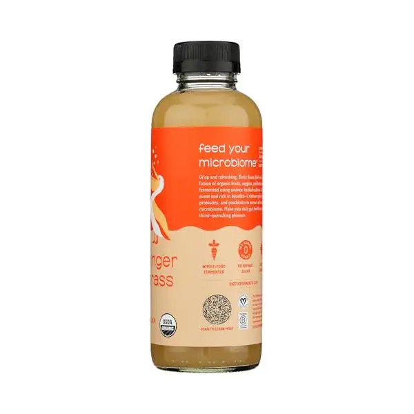 Spicy Ginger Lemongrass Kvass 5