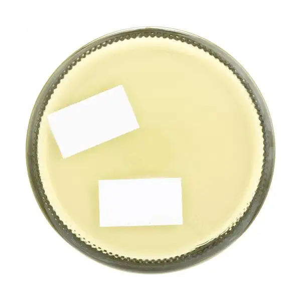 Face Cream Bee Balm 6