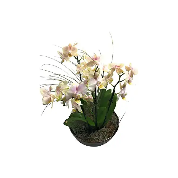 Sweetheart Wreath 15 Inch 1