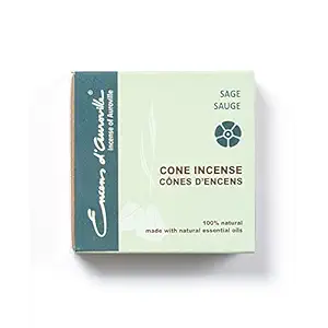 Cone Sage, 10 CT