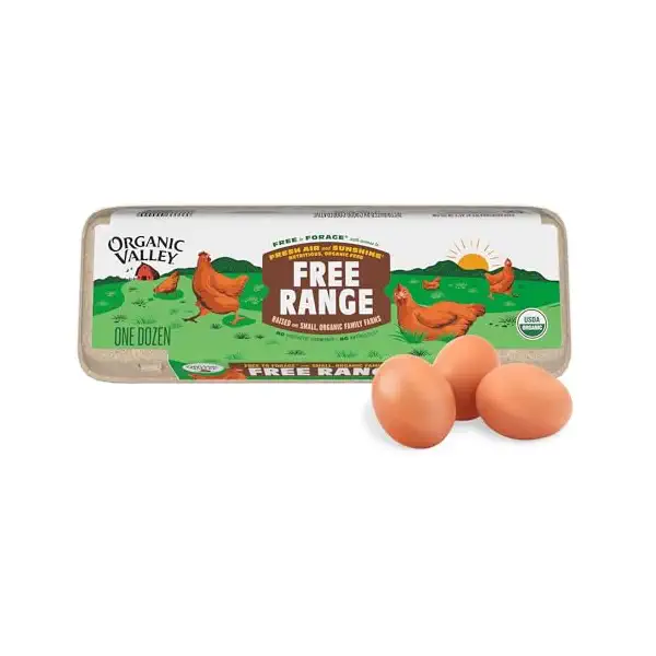 Organic Brown Extra Large Grade A Eggs, 12 CT 1