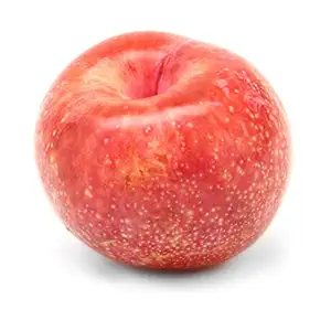 Red Plumcot