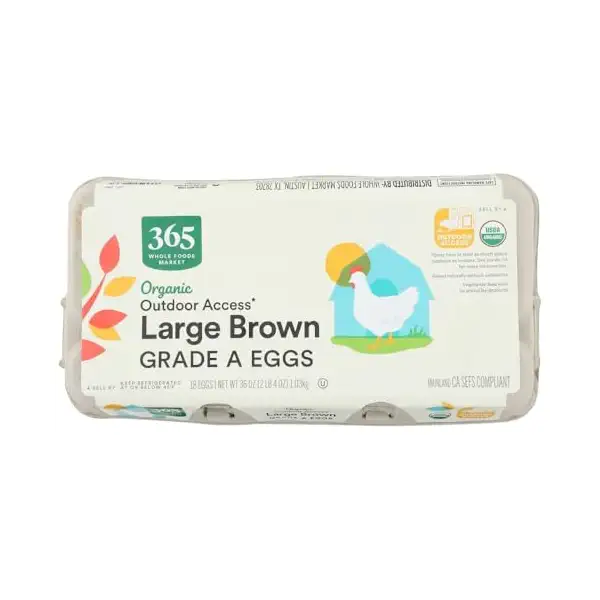 Organic Large Brown Grade A Eggs 18 Count, 18 CT 1
