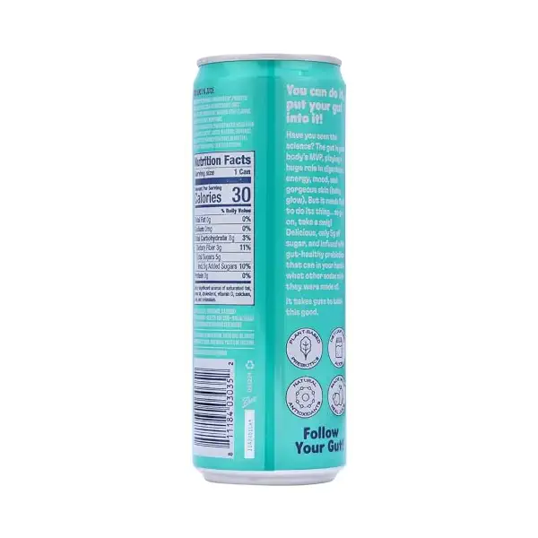 Organic Ginger Fizz Prebiotic Pop Single, 12 FZ 2