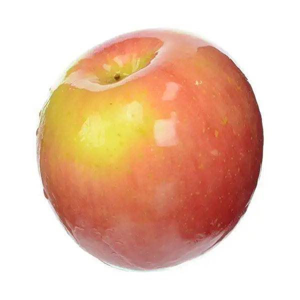 Corail Pinova Apple 2