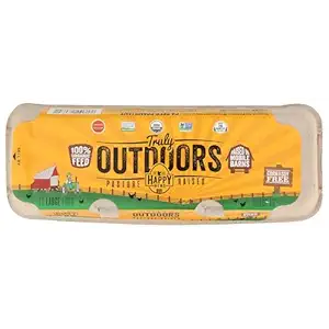 Organic Large Grade AA Eggs, 12 CT