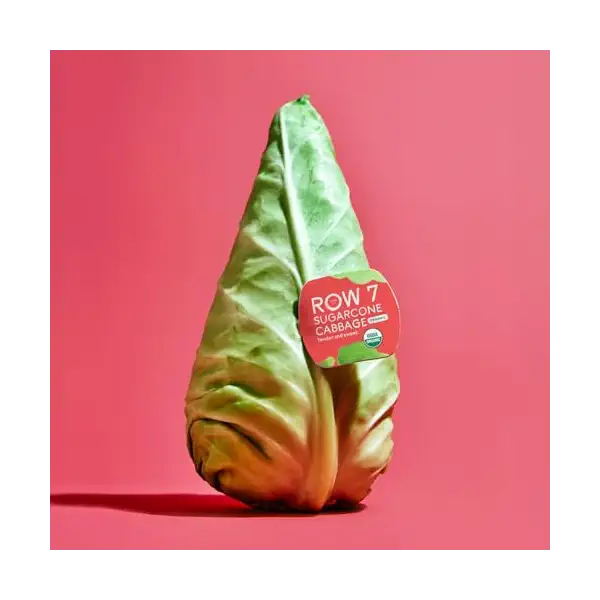 Organic Sugarcone Cabbage 2