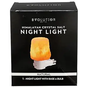 Natural Night Light, 1 EA