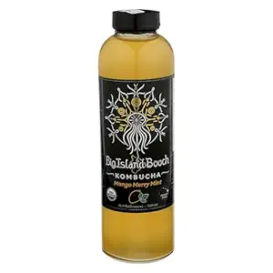 Organic Mango Merry Mint Kombucha, 16.9 FZ