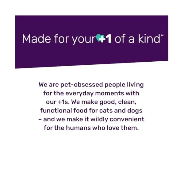 Stir and Boom Freeze Dried Raw Free Turkey Dry Dog Food, 1 LB 4