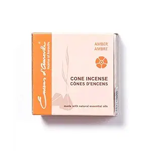 Eda Cone Amber Gold, 10 CT