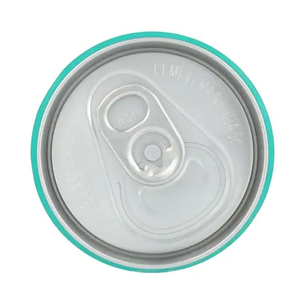 Organic Ginger Fizz Prebiotic Pop Single, 12 FZ 5
