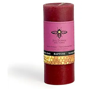 Rapture 2x4 Pillar Candle, 1 EA