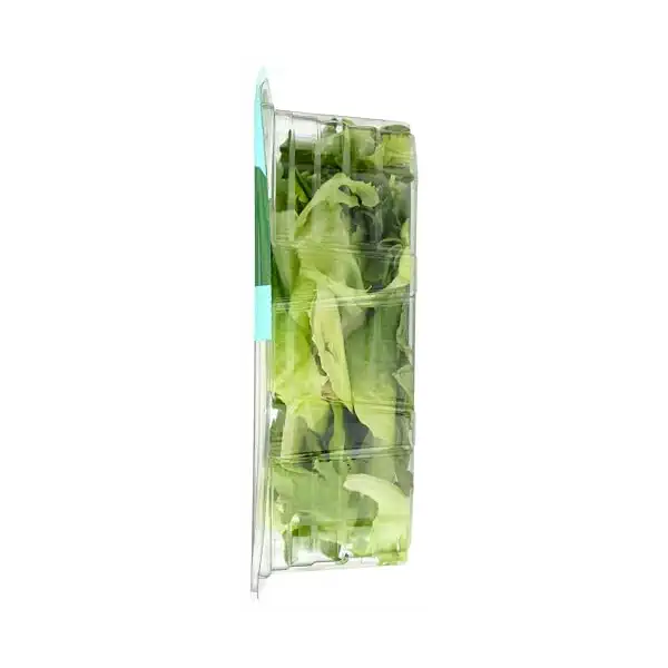 Spring Blend Clam, 4 OZ 7