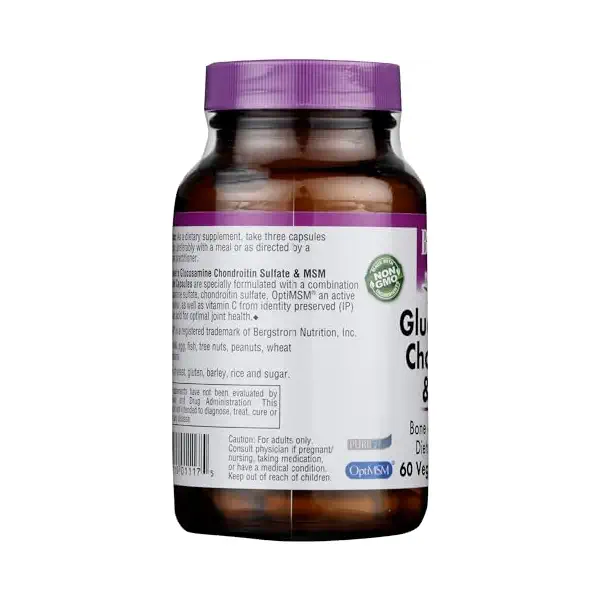 SPO Glucosamine Chondroitin Msm 6