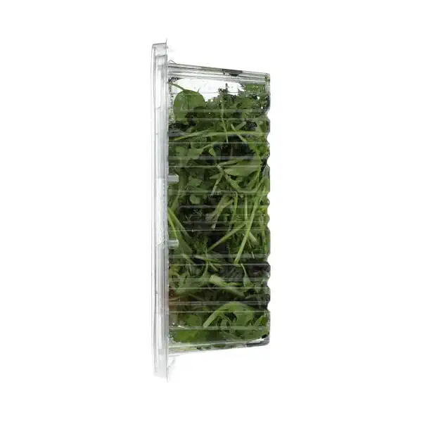 Arugula Spice Blend 5