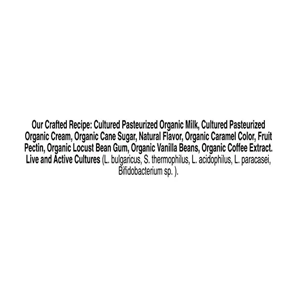 Organic Coffee Bean Yogurt, 5.5 OZ 3