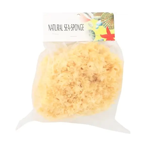 Bathing Sea Sponge (8") 1