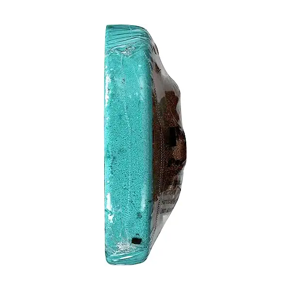 Warm Amber Sol Froth Bomb, 5 OZ 4