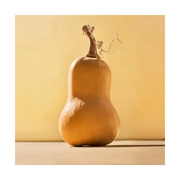 Organic Honeypatch Winter Squash 3