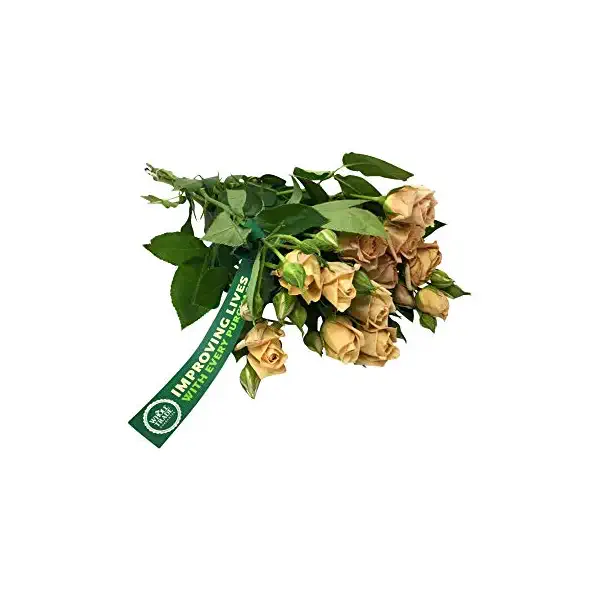 Spray Rose Bouquet, 1 EA 1